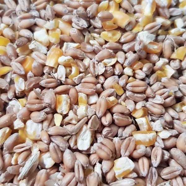Mixed poultry corn 20kg - Image 2