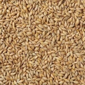 Bamfords Recleaned Barley 20kg