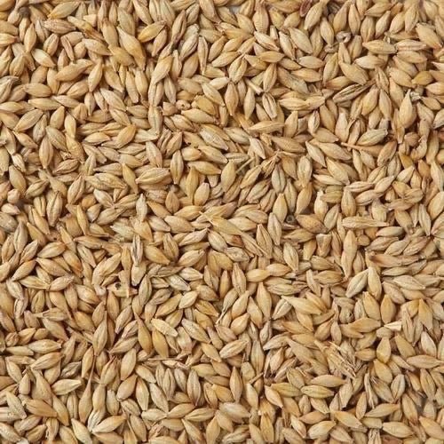 Bamfords Recleaned Barley 20kg